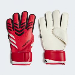 Adidas Predator Gloves Match FS - Purrub / Lucre