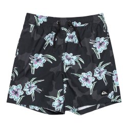 Quicksilver Boys Everyday Straight Volley 14 - Backyards Black