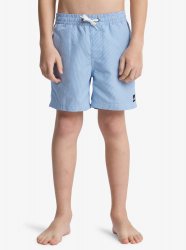 Quicksilver Junior Everyday Deluxe Volley Youth 14 Swim Shorts - Nebulas Blue