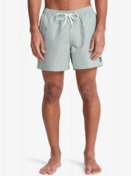 Quicksilver Men's Everyday Deluxe Volley 15 Swim Shorts - Forest
