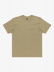 Quicksilver Men's Salt Water Tee - Aloe