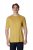 Houdini Ms Tree Tee - Golden Fields