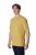 Houdini Ms Tree Tee - Golden Fields