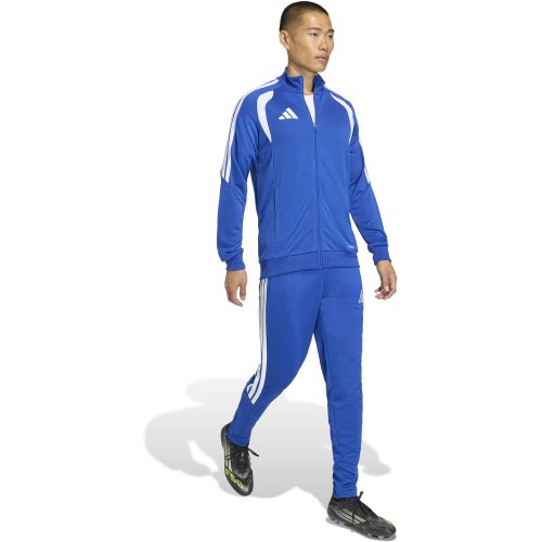 Adidas Tiro 26 Training Jacket Senior - Royal Blue / White