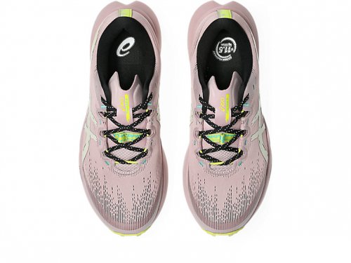 Asics Women's Fuji Lite 6 - Morganite / Light Dust