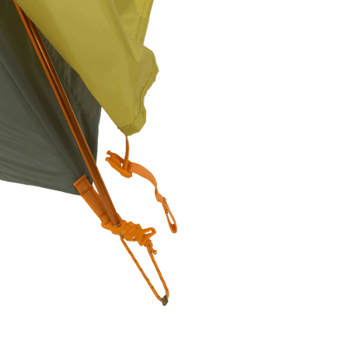 Big Agnes Blacktail 2 Hotel Tent - Green