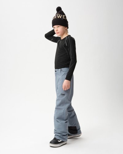 Colourwear Line Ski Pants Junior - Grey Blue