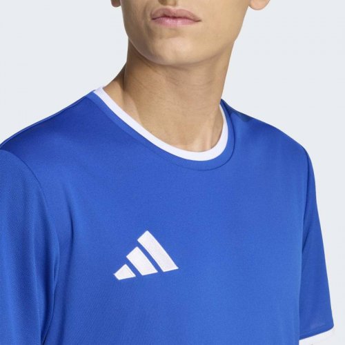 Adidas Entrada 26 Jersey Senior - Royal Blue / White
