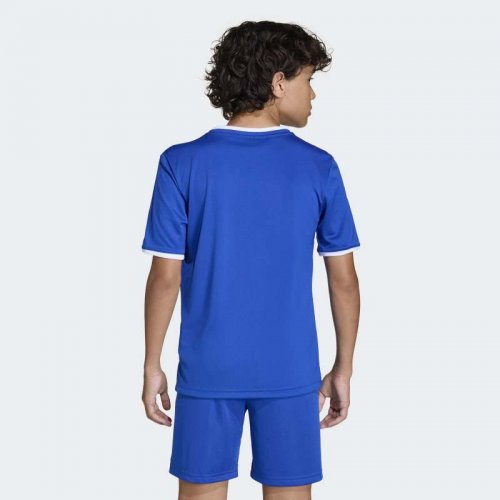 Adidas Entrada 26 Jersey Youth - Royal Blue / White
