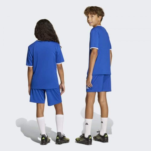 Adidas Entrada 26 Shorts Youth - Royal Blue