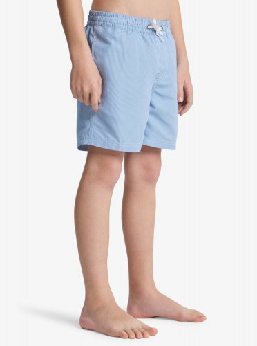 Quicksilver Junior Everyday Deluxe Volley Youth 14 Swim Shorts - Nebulas Blue