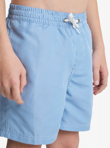 Quicksilver Junior Everyday Deluxe Volley Youth 14 Swim Shorts - Nebulas Blue