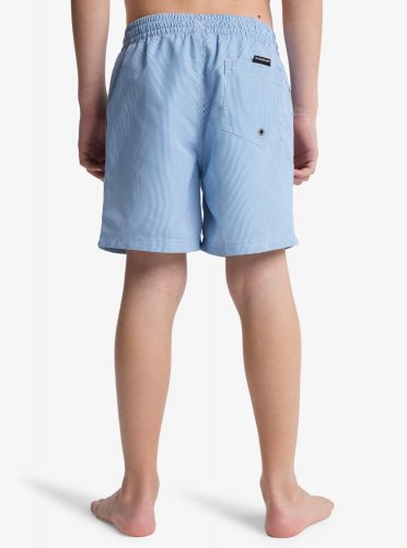 Quicksilver Junior Everyday Deluxe Volley Youth 14 Swim Shorts - Nebulas Blue