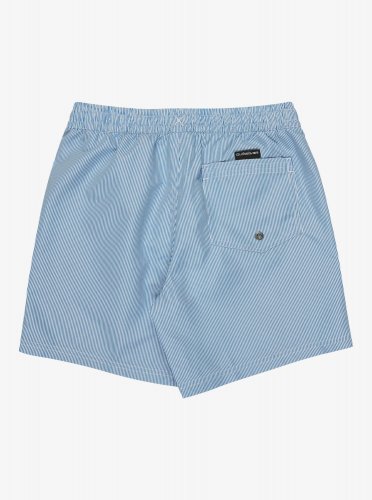 Quicksilver Junior Everyday Deluxe Volley Youth 14 Swim Shorts - Nebulas Blue