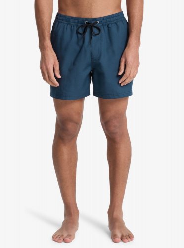 Quicksilver Men's Everyday Deluxe Volley 15 Swim Shorts - Dark Navy