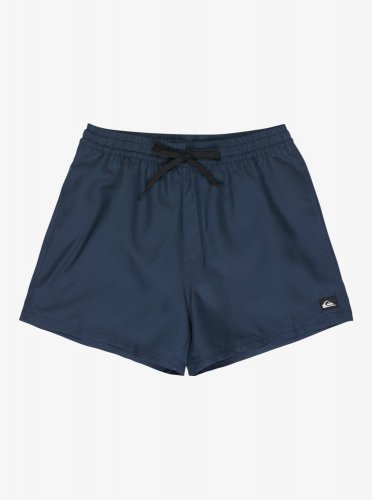 Quicksilver Men's Everyday Deluxe Volley 15 Swim Shorts - Dark Navy