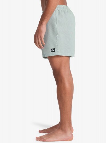 Quicksilver Men's Everyday Deluxe Volley 15 Swim Shorts - Forest