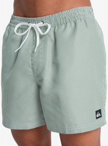 Quicksilver Men's Everyday Deluxe Volley 15 Swim Shorts - Forest