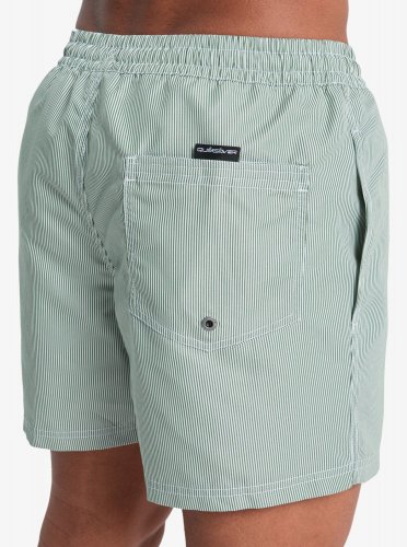 Quicksilver Men's Everyday Deluxe Volley 15 Swim Shorts - Forest