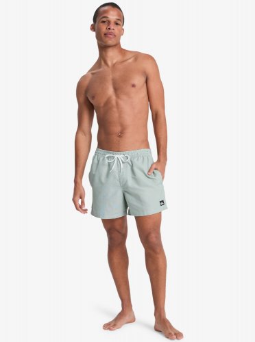 Quicksilver Men's Everyday Deluxe Volley 15 Swim Shorts - Forest