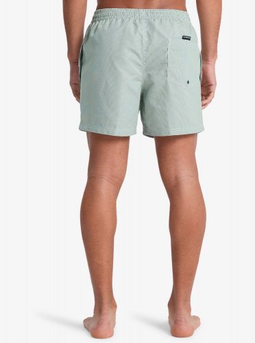Quicksilver Men's Everyday Deluxe Volley 15 Swim Shorts - Forest
