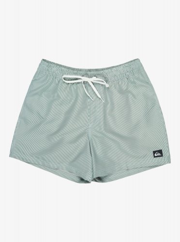 Quicksilver Men's Everyday Deluxe Volley 15 Swim Shorts - Forest