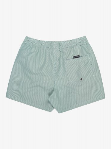 Quicksilver Men's Everyday Deluxe Volley 15 Swim Shorts - Forest