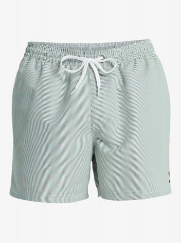 Quicksilver Men's Everyday Deluxe Volley 15 Swim Shorts - Forest