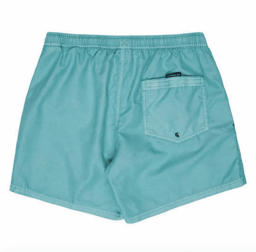 Quicksilver Men's Everyday Surfwash Volley 15 - Aquifer