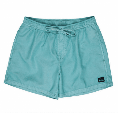 Quicksilver Men's Everyday Surfwash Volley 15 - Aquifer