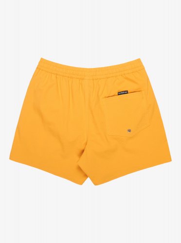 Quicksilver Men's Quicksilver Everyday Flex Volley 15 Swim Shorts - Mineral Yellow