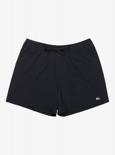 Quicksilver Men's Quicksilver Everyday Flex Volley 15 Swim Shorts - Black