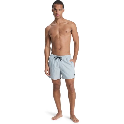 Quicksilver Men's Everyday Solid Volley 15 Swim Shorts - Quarry Heather